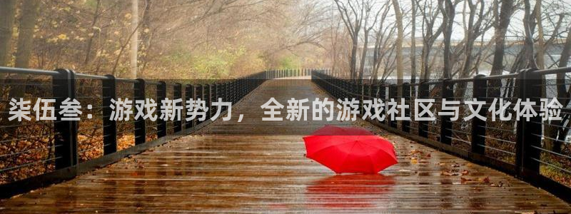 杜邦娱乐平台注册开户：柒伍叁：游戏新势力，全新的游戏社区与文