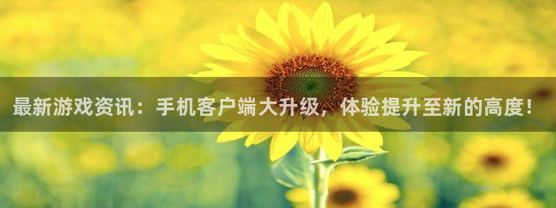杜邦娱乐线路测试：最新游戏资讯：手机客户端大升级，体验提升至