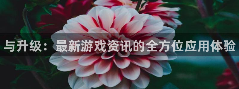 杜邦娱乐登陆地址：与升级：最新游戏资讯的全方位应用体验