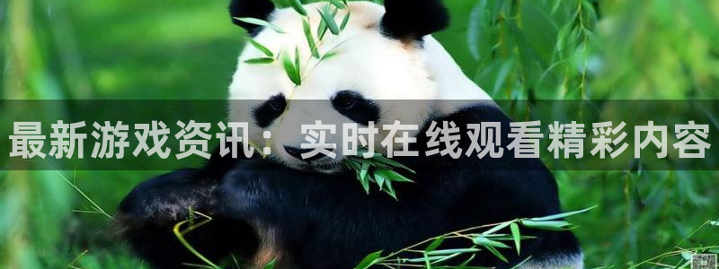 手机杜邦娱乐下载安装：最新游戏资讯：实时在线观看精彩内容