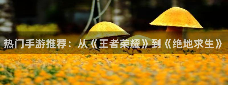 杜邦娱乐娱乐：热门手游推荐：从《王者荣耀》到《绝地求生》