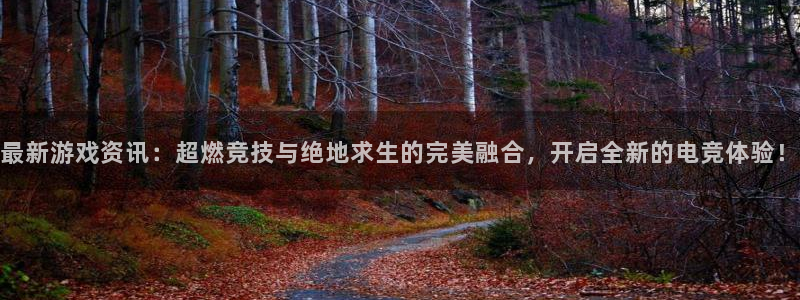 杜邦娱乐注册账号：最新游戏资讯：超燃竞技与绝地求生的完美融合