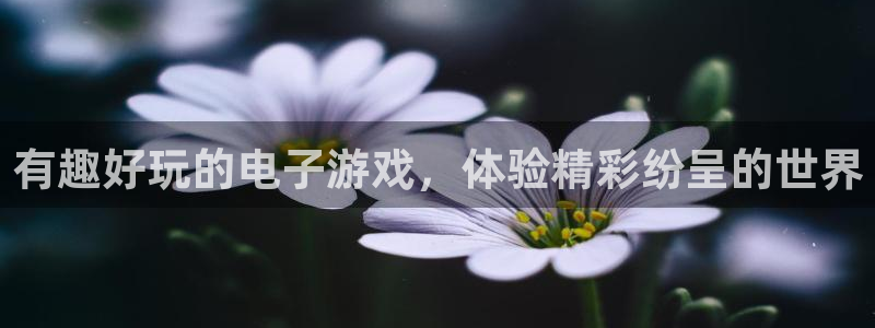 杜邦娱乐注册开户：有趣好玩的电子游戏，体验精彩纷呈的世界