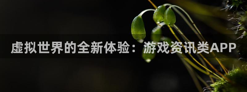 杜邦娱乐在线登录：虚拟世界的全新体验：游戏资讯类APP