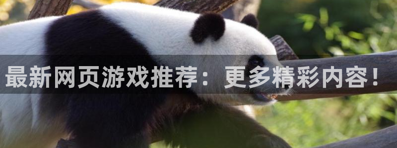 杜邦娱乐平台：最新网页游戏推荐：更多精彩内容！
