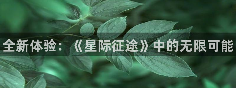杜邦娱乐登陆地址