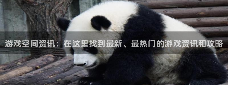 杜邦娱乐注册开户：游戏空间资讯：在这里找到最新、最热门的游戏