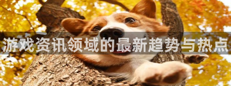 杜邦娱乐平台注册：游戏资讯领域的最新趋势与热点