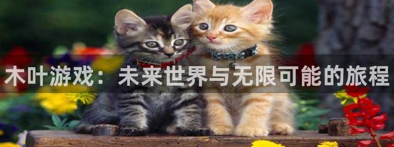 杜邦娱乐注册账号：木叶游戏：未来世界与无限可能的旅程